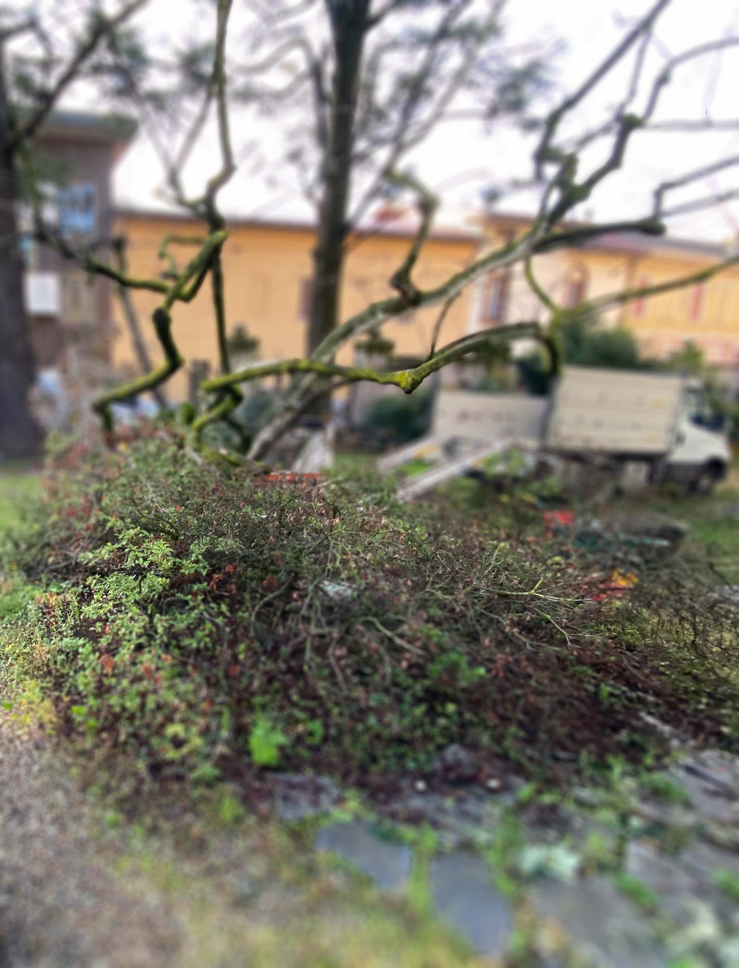 Immagine dell'articolo