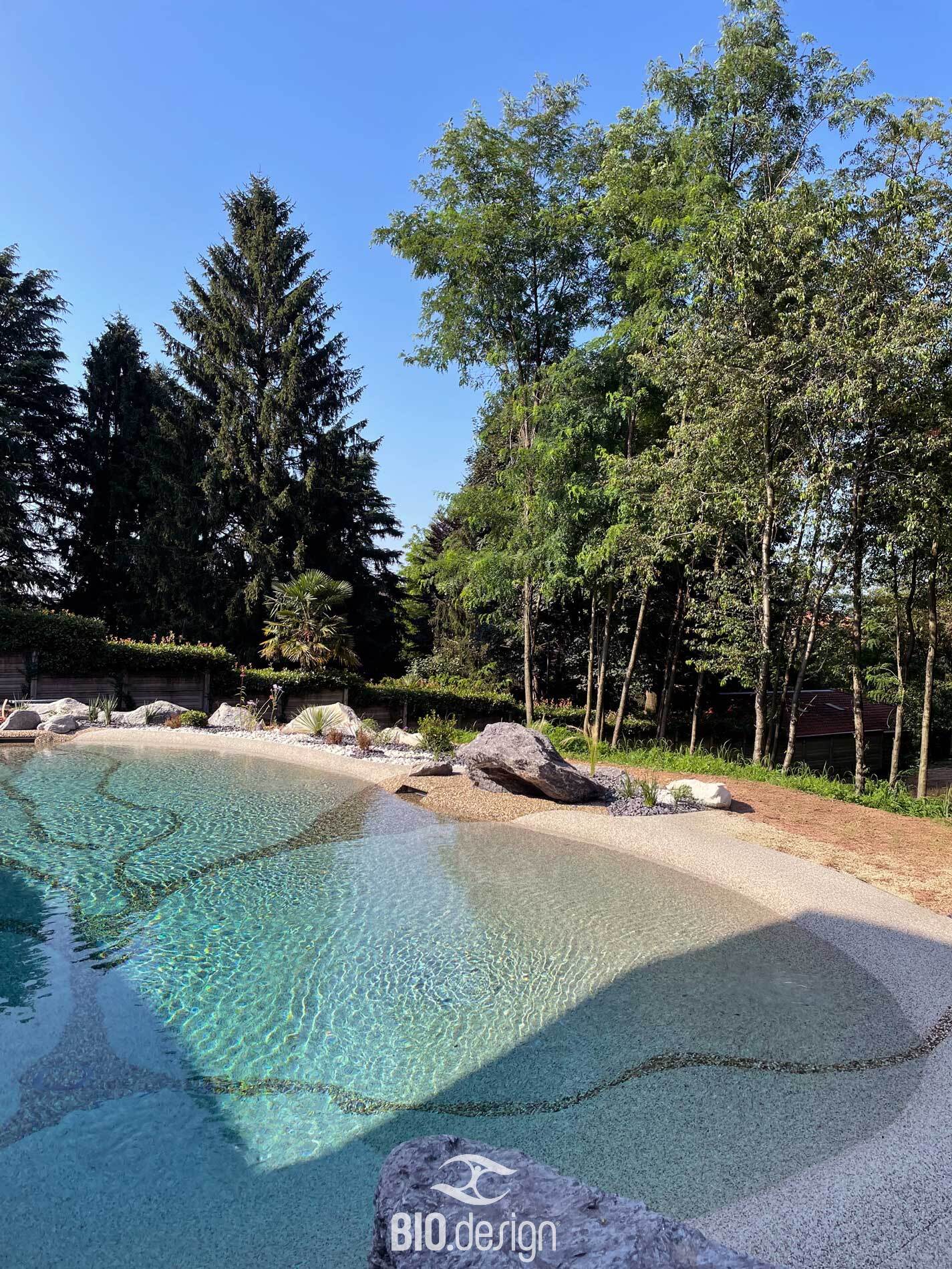 Immagine dell'articolo