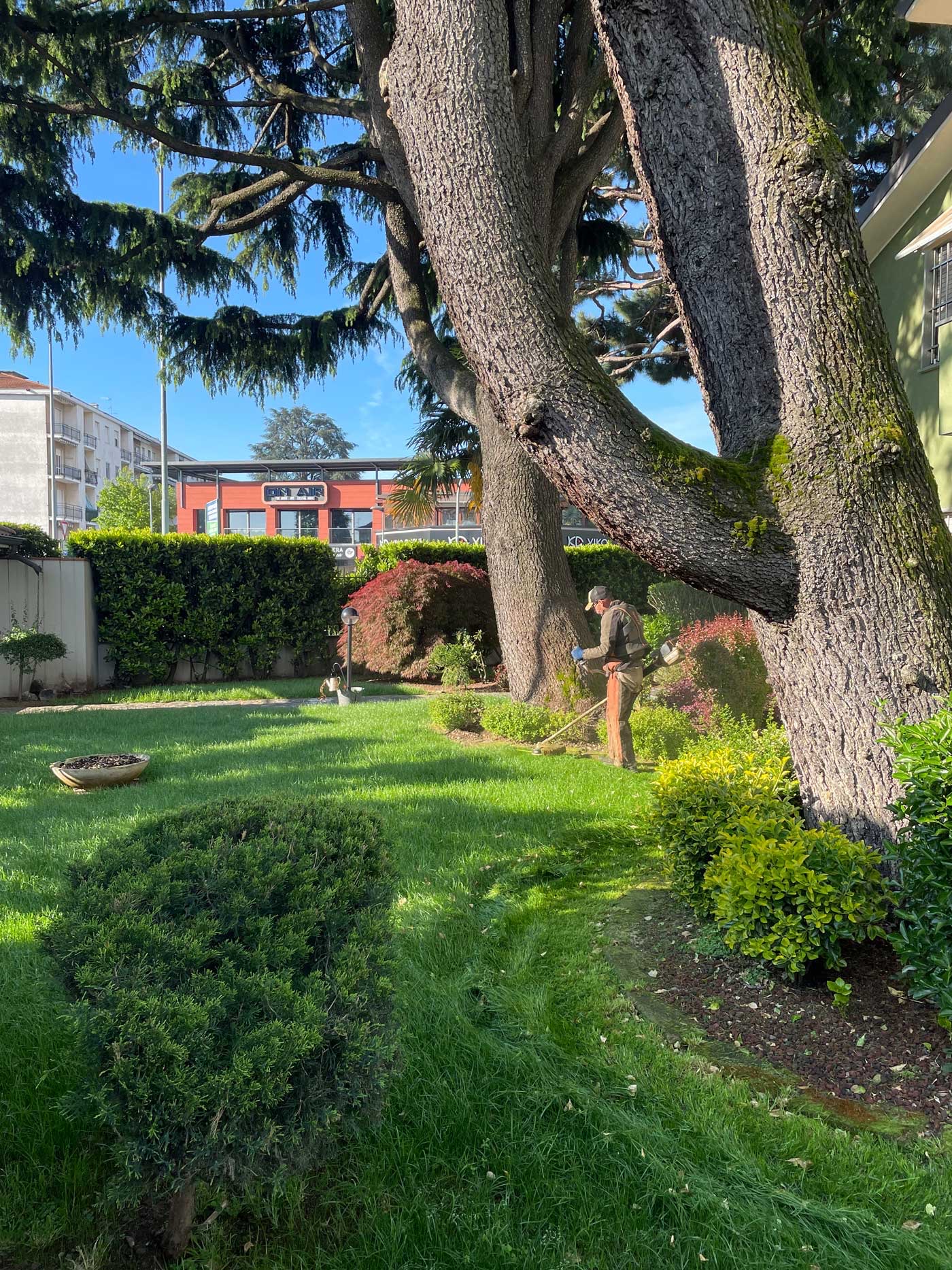 Immagine servizio manutenzione